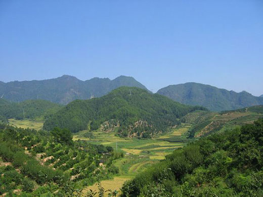 什么是好的墓地風(fēng)水